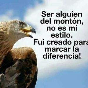 Meet your Posher, Pedro